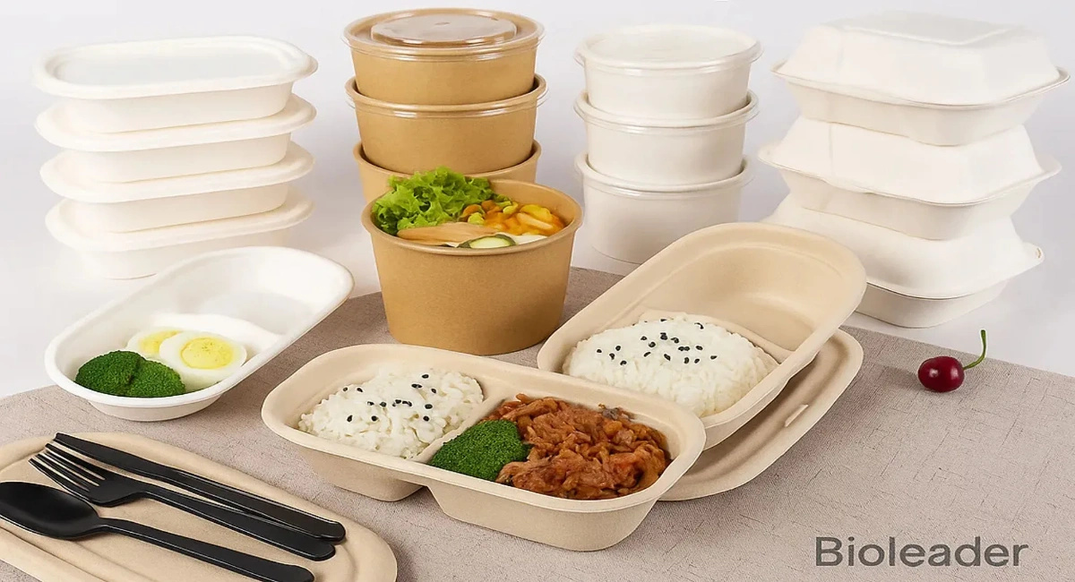 Sustainable and  Smart: Sugarcane Food Containers Win