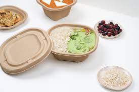 Sustainable and  Smart: Sugarcane Food Containers Win